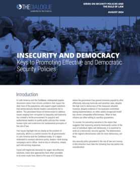 Cover photo from report on insecurity and democracy